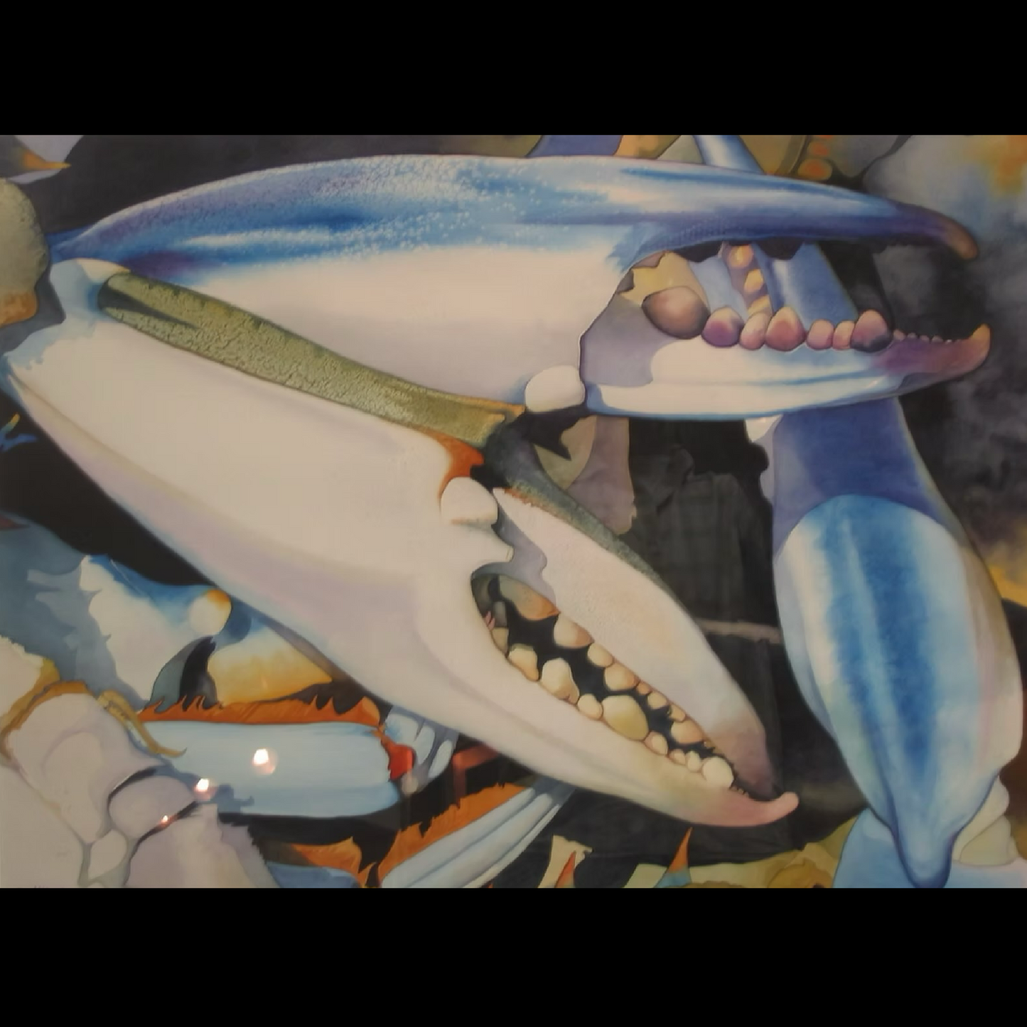 ‘Jumbo Crabscape’