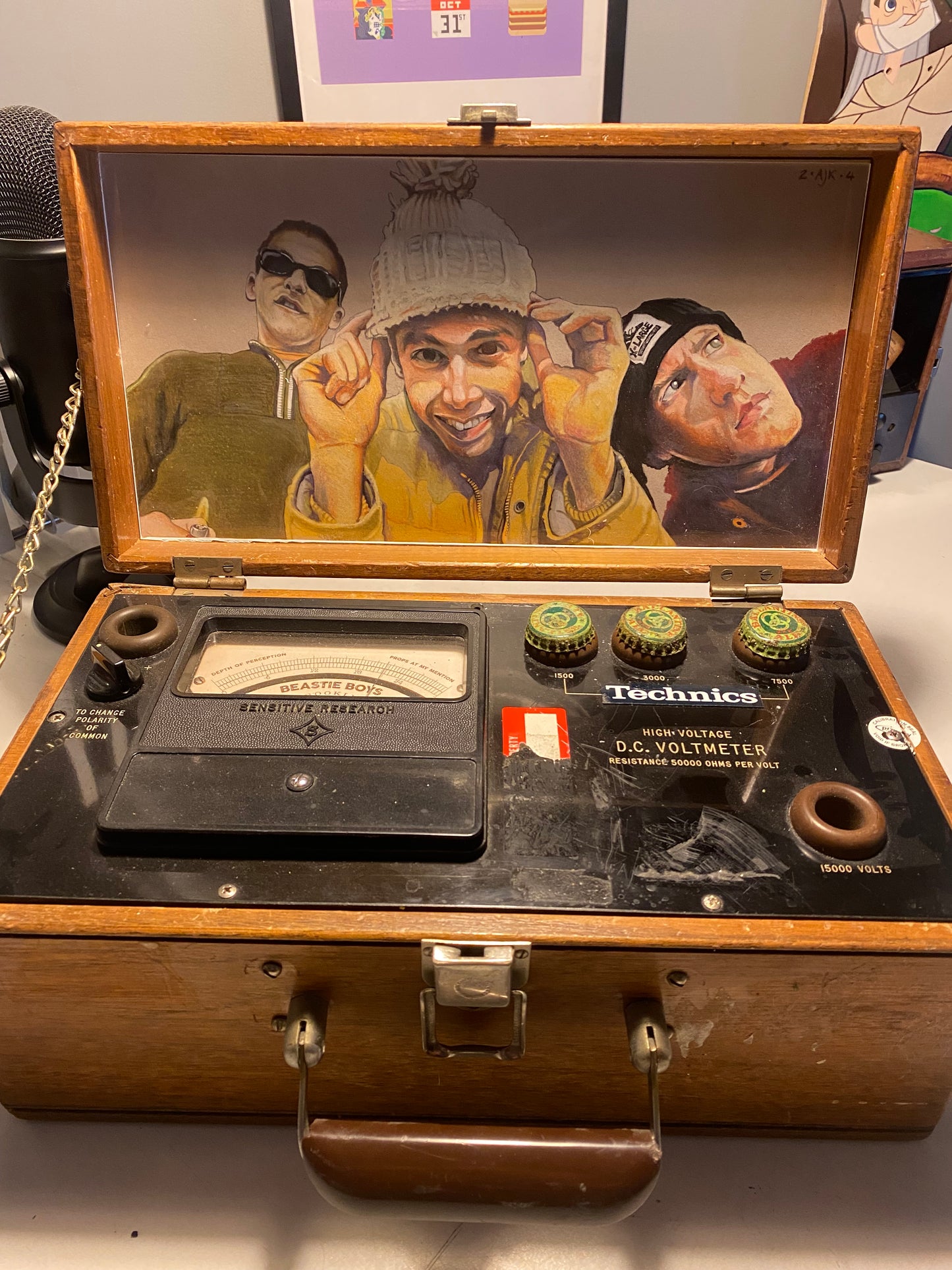 ‘Pass the Mic - Beastie Boys - Portrait Box’