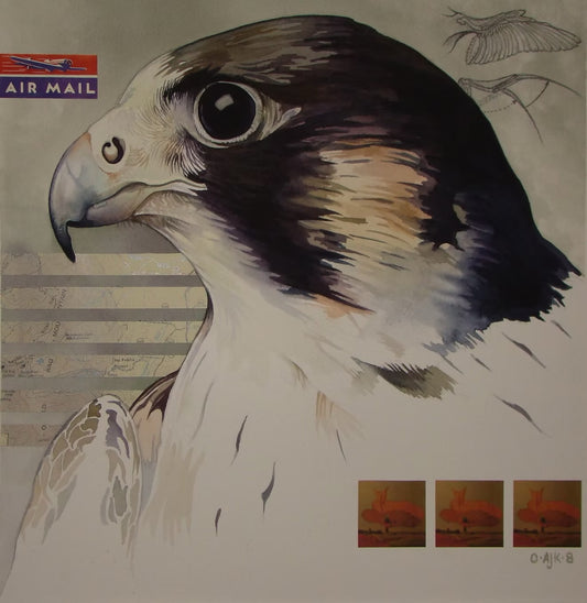 ‘Learning to Fly (Peregrine Falcon)’