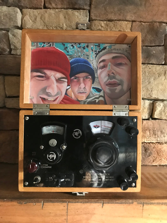 ‘So What’cha Want - Beastie Boys - Portrait Box’