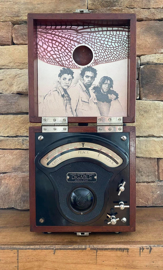 ‘Cool Like ‘Dat - Digable Planets - Portrait Box’