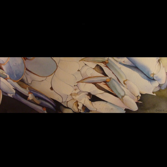 ‘Blue Crab Belly’