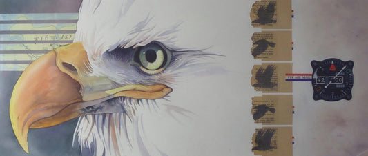 ‘Best Day Ever (I Saw an Eagle Flying Overhead)’